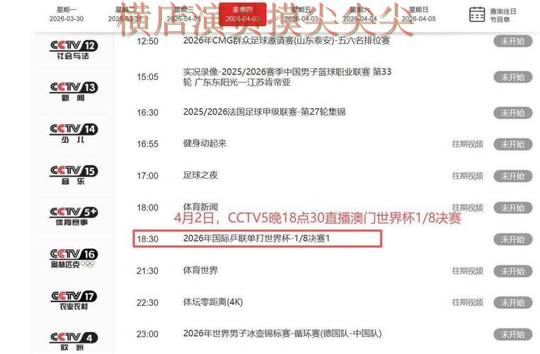 世界杯投注平台合集揭秘：聚焦直播入口与赛事直播体验 - 世界杯官方信息
